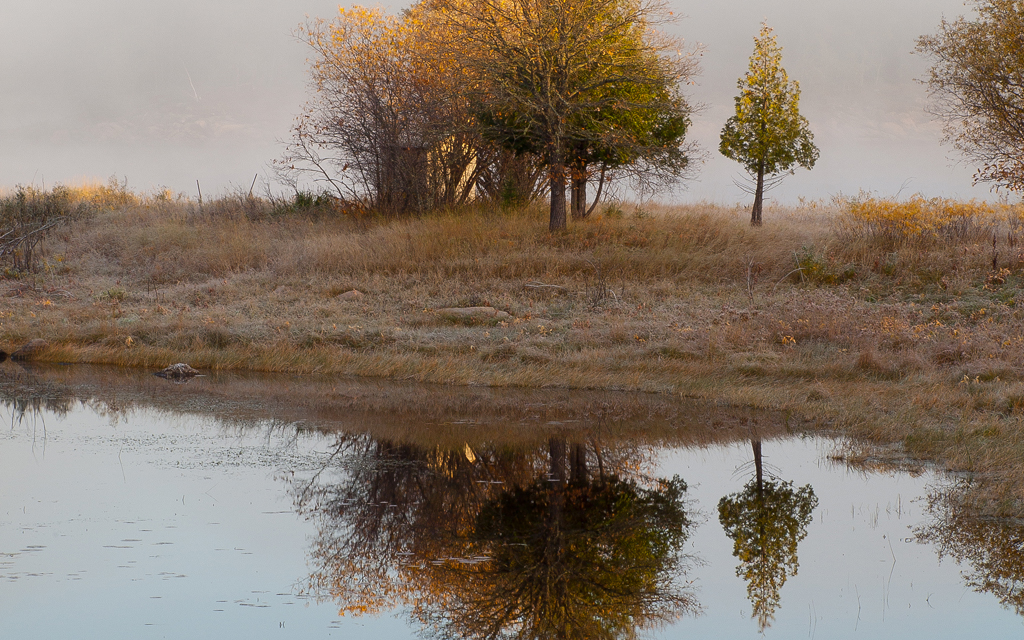 Late fall photo