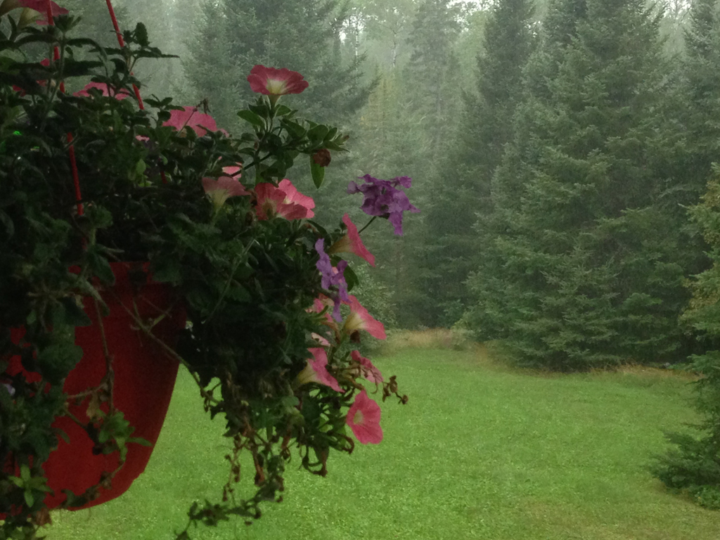 Flowers adorn the breezeway during a summer storm