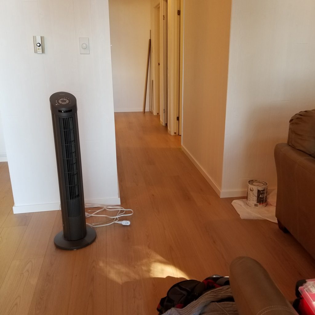 bathroom renovation and plank floor installation